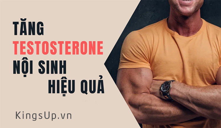 Tăng Testosterone nội sinh hiệu quả