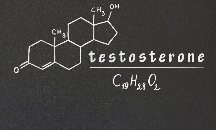 testosterone được sinh sản ở